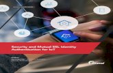 Security and Mutual SSL Identity Authentication for IoT...Security and Mutual SSL Identity Authentication for IoT 1 Introduction: How We Got Here As we advance in technology, we need