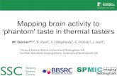 Mapping brain activity to ‘phantom' taste in thermal tasters · M. Skinner*1,2, R. Ford1, S. Eldeghaidy 2, S. Francis , J. Hort1. Mapping brain activity to ‘phantom' taste in