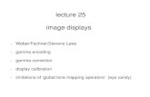 lecture 25 image displays - McGill CIMlanger/557/25-slides.pdflecture 25 image displays - Weber/Fechner/Stevens Laws - gamma encoding - gamma correction - display calibration - limitations