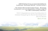 FGV’s Experience and Contribution in Global Mapping for ... · FGV’s Experience and Contribution in Global Mapping for Rural Development Bruno Neves Bonn, 2nd July. N STRUCTURE