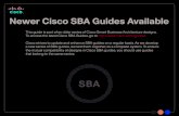 Cisco SBA Borderless Networks—Remote Access …...This component-level approach simplifies system integration of multiple technologies, allowing you to select solutions that solve