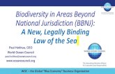Biodiversity in Areas Beyond National Jurisdiction (BBNJ ...€¦ · 2019-11-22  · Biodiversity in Areas Beyond National Jurisdiction (BBNJ): A New, Legally Binding Law of the Sea