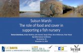 Suisun Marsh: The role of food and cover in supporting a ...scienceconf2016.deltacouncil.ca.gov/sites/default/files/2016-11-15-3… · 15/11/2016  · Suisun Marsh: The role of food