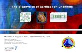 The Biophysics of Cardiac Ion Channels - Safety Pharmacology … · 2014. 5. 30. · Ion Channel is a resistor But ion channels allow permeation = V r results from the Equilibrium