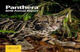 Panthera€¦ · for wild cats and the vast landscapes on which they depend. Our vision is a world where wild cats thrive in healthy, natural and developed landscapes that sustain