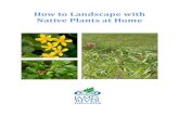 How to Landscape with Native Plants at Homethejamesriver.org/.../uploads/2016/05/Native-Plants.pdfInvasive Plants Alien plants also known as exotic, non-native, or non-indigenous plants,