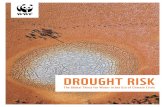 DROUGHT RISK - WWF€¦ · meet these challenges. Ethiopia 2.5 17.5 million China million India million People annually affected by drought 1996–2015 Droughts lead to water scarcity