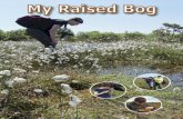 My Raised Bog - ipcc.ie€¦ · W W a a l l k k i i n n g g o o n n W W a a t t e e r r Walking on a raised bog is the closest you might ever get to being able to walk on water. This