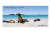 The Galapagos Islands - TRAVELSAVERS · 7-Night All-Inclusive Cruise 10, 11, 15 and 16 -Night All-Inclusive Vacations •! 7-Night Galapagos cruise •! 2-Night pre cruise package
