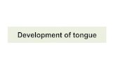 Development of tongue · DEVELOPMENT OF THE TONGUE MUSCLES Occipital myotomes – formed by the fusion of four pre –cervical somites Supplied by hypoglossal nerve (nerve of occipital