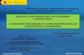 BIOSAFETY AND BIOSECURITY IN VETERINARY ......2015/09/01  · Laboratorio Central de Veterinaria GARANTIA DE CALIDAD CHAPTER 1.1.3. Biosafety and Biosecurity: standard for managing
