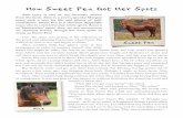 How Sweet Pea Got Her Spots - WordPress.com€¦ · being all plain and boring and ugly. I hate her!” And she stamped a foreleg into the water, splashing them both. Cassidy stood