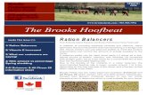 | 905.985.7992 The Brooks …proper nutrients for healthy hair growth, as well as maintaining the overall health of the horse Optimal Coat Health During Spring Shedding Tips from Kentucky