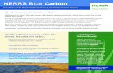 NERRS Blue Carbon · blue carbon.) Restoring degraded wetlands is an effective climate . mitigation strategy with rapid rewards. Nationwide, wetlands are disappearing—restoring