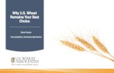 Why U.S. Wheat Remains Your Best Choice€¦ · Remains Your Best Choice Mark Fowler Vice president, Overseas Operations. U.S. wheat. US Wheat Associates. Mission of US Wheat Associates