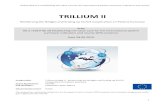 TRILLIUM II · 2019. 6. 28. · Deliverable 6.2: Establishing the value case for the international patient summary: indicators and results 1 TRILLIUM II Reinforcing the Bridges and
