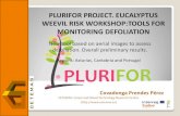 PLURIFOR PROJECT. EUCALYPTUS WEEVIL RISK … · PLURIFOR PROJECT. EUCALYPTUS WEEVIL RISK WORKSHOP:TOOLS FOR MONITORING DEFOLIATION 4 th October Eixo, Aveiro (Portugal) Covadonga Prendes