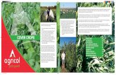 COVER CROPS - Agricol · 2019. 10. 14. · COVER CROPS The benefits of using cover crop mixtures are well-known and include, among others: 1. Cover crops increase root mass in different