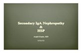 Secondary IgA Nephropathy HSP - NYU Langone Health · November 21; 13(43): 5783-5786 ... often preceded rash by 2-8 week ... edge of fresh purpuric lesions. Can be seen in other disease