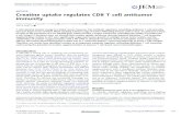 Creatine uptake regulates CD8 T cell antitumor immunity · a cell. Using CrT knockout mice, we showed that creatine uptake deficiency severely impaired antitumor T cell immunity.
