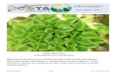 Hosta ‘Glen Tiara’ A Glenbrook Farm Introduction · 2017. 11. 30. · AHS eNewsletter Page 1 Fall – November 2017 Hosta ‘Glen Tiara’ A Glenbrook Farm Introduction Welcome