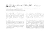 Identiﬁcation of Drosophila Type II Neuroblast Lineages …uoneuro.uoregon.edu/doelab/pdfs2/Boone08.pdf · 2008. 7. 11. · Identiﬁcation of Drosophila Type II Neuroblast Lineages