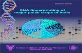 DNA fingerprinting of major pulse crops of India · 8. Genotypes of lentil used for the DNA fingerprinting and diversity analysis 54 9. List of RAPD markers used for the diversity
