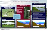 What are the Issues? - WordPress.com · Check dam Forebay Berm Marsh zones Forebay located at middle left side of wetland. Berms and check dams separate the forebay from the marsh