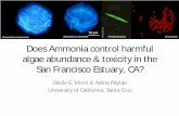 Alexandrium catenella Pseudonitzschia Microcystis Does … · 2009. 8. 31. · Does Ammonia control harmful algae abundance & toxicity in the San Francisco Estuary, CA? Cécile E.