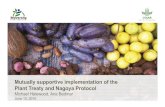 Mutually supportive implementation of the Plant Treaty and ... · national objectives related to climate change adaptation, poverty alleviation, food security and conservation. 2015:
