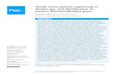 Mytilus spp. and identiï¬پcation of GalM M. galloprovincialis The Mediterranean Sea: Trieste and Chioggia