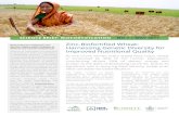 Zinc-Biofortified Wheat: Harnessing Genetic Diversity for ... · Huerta-Espino, J., Ortiz-Monasterio, I., and R.J. Pena. 2014. Use of wheat genetic resources to develop biofortified