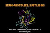 SERIN-PROTEASES: SUBTILISINSsbi.imim.es/web/files/projects/students/2017/be8.1.pdf · Trypsin-like serine proteases - prokaryotic proteases - eukaryotic proteases (Trypsin, chymotrypsin