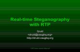 Real-time Steganography with RTP · © 2007 Computer Academic Underground Real-time Steganography with RTP I)ruid
