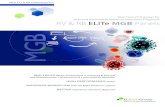 Real-Time PCR Assays for Viral and Bacterial …...ELITechGroup Molecular Diagnostics, a major innovator in the molecular diagnostics market, offers comprehensive Real-Time PCR products