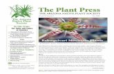 The Plant Press - Arizona Native Plant Society · species from the southern Madrean biome like New Mexico groundsel (Packera neomexicanum). The more tropical Chihuahuan Desert contributed