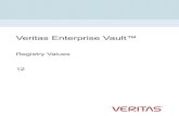 Veritas Enterprise Vault : Registry Values · Operatingsystem Versionandpatchlevel Networktopology Router,gateway,andIPaddressinformation Problemdescription: Errormessagesandlogfiles