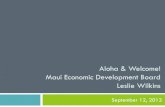 Aloha & Welcome! Maui Economic Development Board Leslie ... Economic... · We are world class…. 1 of top 5 viewing locations in the world ... Helping targeted businesses to navigate