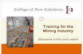 Training for the Mining Industry - Minerals Northmineralsnorth.ca/images/uploads/pdf/Smilinski_Powerpoint.pdf · 2015. 11. 17. · Exploratory Trades Program and CTC training at the