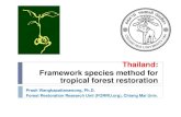 Thailand: Framework species method for tropical forest … · 2014. 1. 29. · Foundation, 2009 668 - 774 ANR (Castilo, 1986) Philippines 524-1,048 1983-85 Castilo, 1986 1,862 –