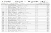 Team Large – Agility R3 - WordPress.com · Team Large – Agility R3 Mark Fonteijn198m 41s 99s 109x2p # R/O COMPETITOR TIME R T F SCORE POINTS 1 890 Martin Brunner – FionaBorder