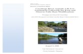 Cuyahoga River Aquatic Life Use Attainment Following the ... · DSW/NEDO 2008-08-01 Middle Cuyahoga River August 6, 2008 1 Cover Photos: Top – Cuyahoga River in Kent upstream from