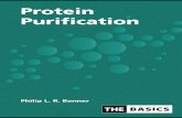 Protein Purification - Libros Cientificos en PDF€¦ · Protein Purificationis a basic guide which illustrates the basis and limitations of various protein purification techniques