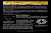 What is structural biology? What are molecules? What are ... · Structural biology is the study of how biological molecules are built. Using a variety of imaging techniques, scientists