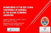 Monitoring of the red coral harvesting in Sardinia (W ... · di ver 1_1 di ver 1_2 diver2 diver3 di ver4_1 di ver 4_2 di ver 5_1 di ver5_2 number of dives 2012 Kg>2,5 Kg