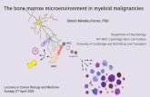 The bone marrow microenvironment in myeloid malignancies€¦ · 12 c a p i l l a r i e s (n o r m a l i z e d) ** *** 0 200 4 0 6 0 800 1000 12 0 PLA ... Carlesso N et al. Cell Stem