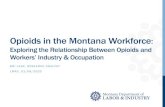 Exploring the Relationship Between Opioids and Workers ...erd.dli.mt.gov/Portals/54/Documents/LMAC/1-8-2020... · 1/8/2020  · rates of receiving opioids on a longer-term basis,