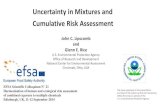 Uncertainty in Mixtures and Cumulative Risk Assessment · RPF formula for expressing the mixture dose in terms of the index chemical: where, D m = mixture dose expressed as dose of