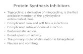 Protein Synthesis Inhibitors€¦ · Protein Synthesis Inhibitors •Tigecycline: a derivative of minocycline, is the first available member of the glycylcycline antimicrobial class.