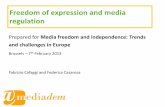 Freedom of expression and media regulation€¦ · Public – private regulation in media The field covered by media regulation is very wide. Several factors segment media regulation: